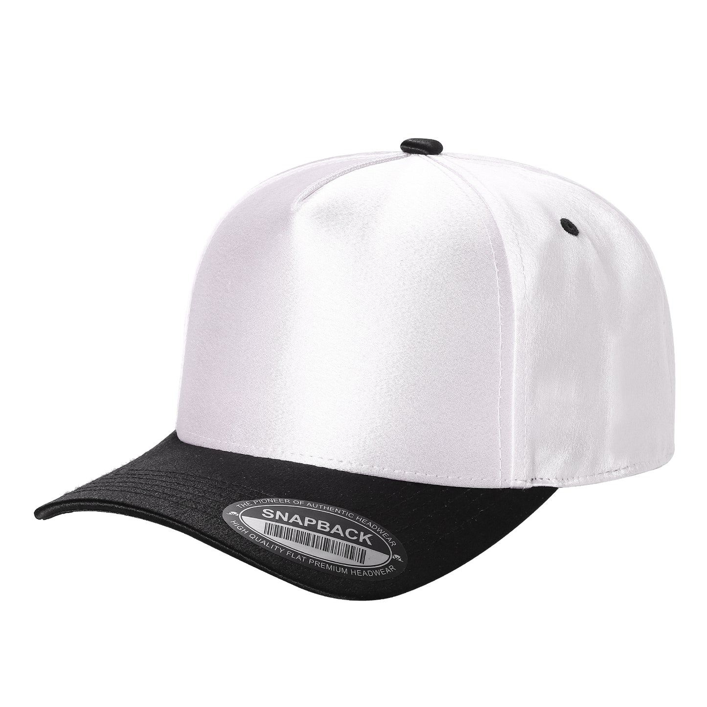 TCST - Satin Snapback