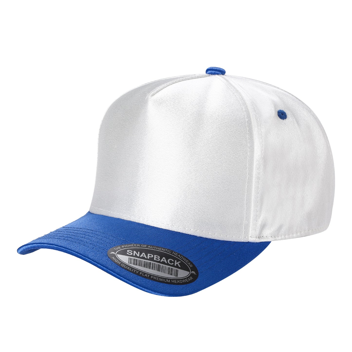 TCST - Satin Snapback