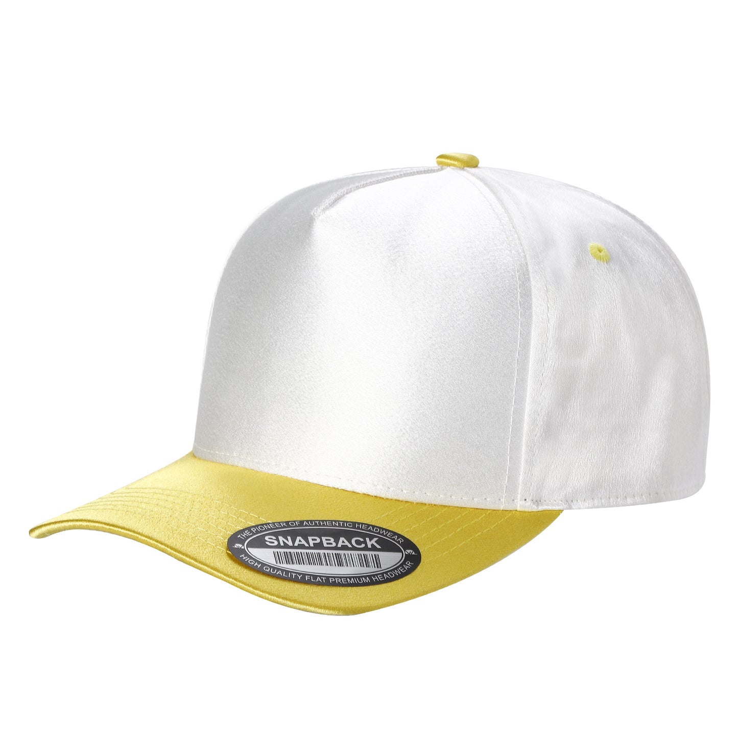 TCST - Satin Snapback