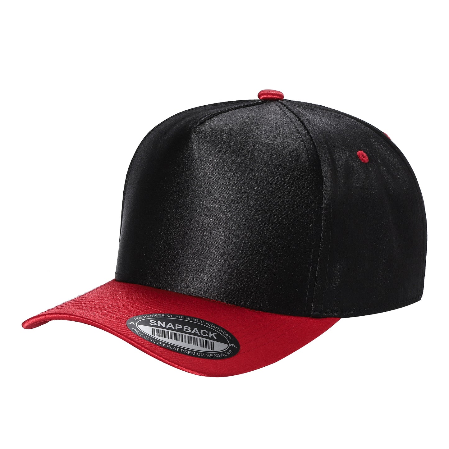 TCST - Satin Snapback